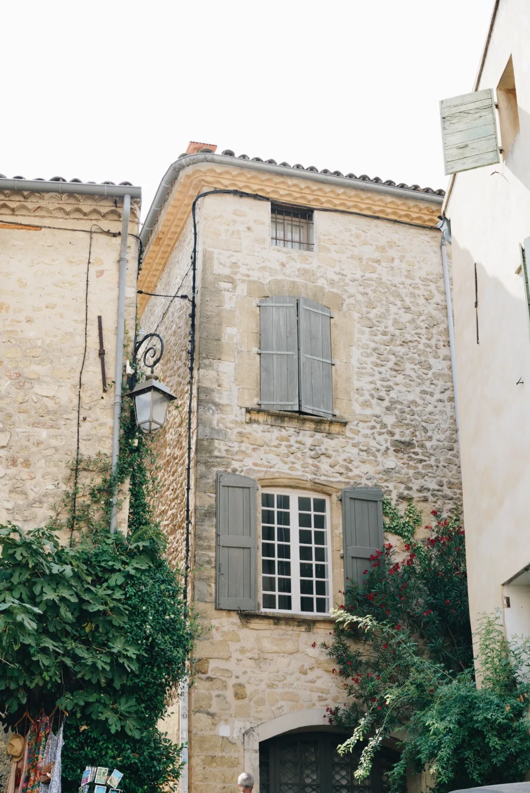 Sun-dappled Provençal countryside