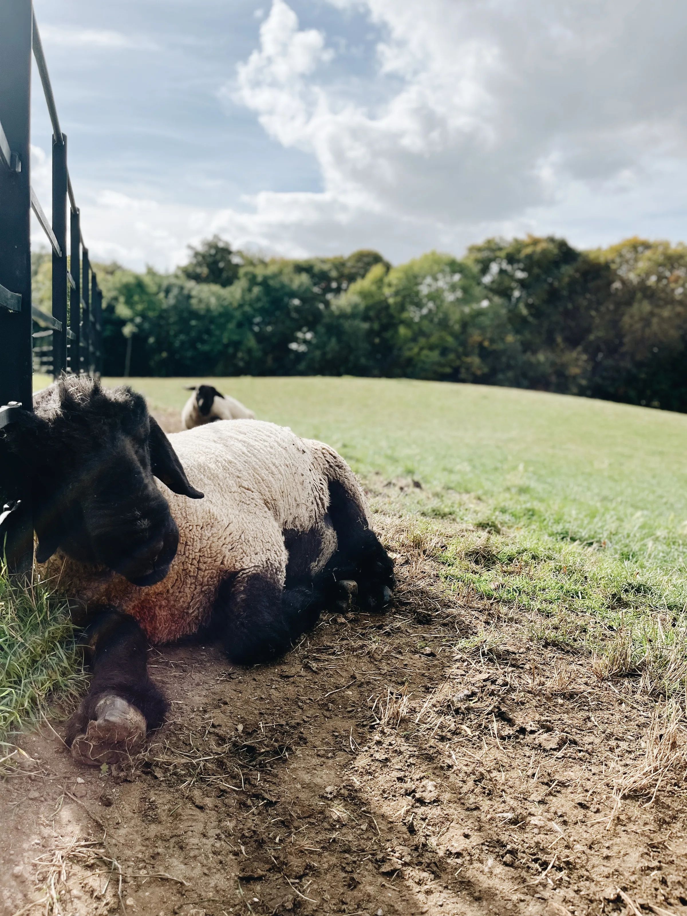 A Cotswold village nestled in a green valley