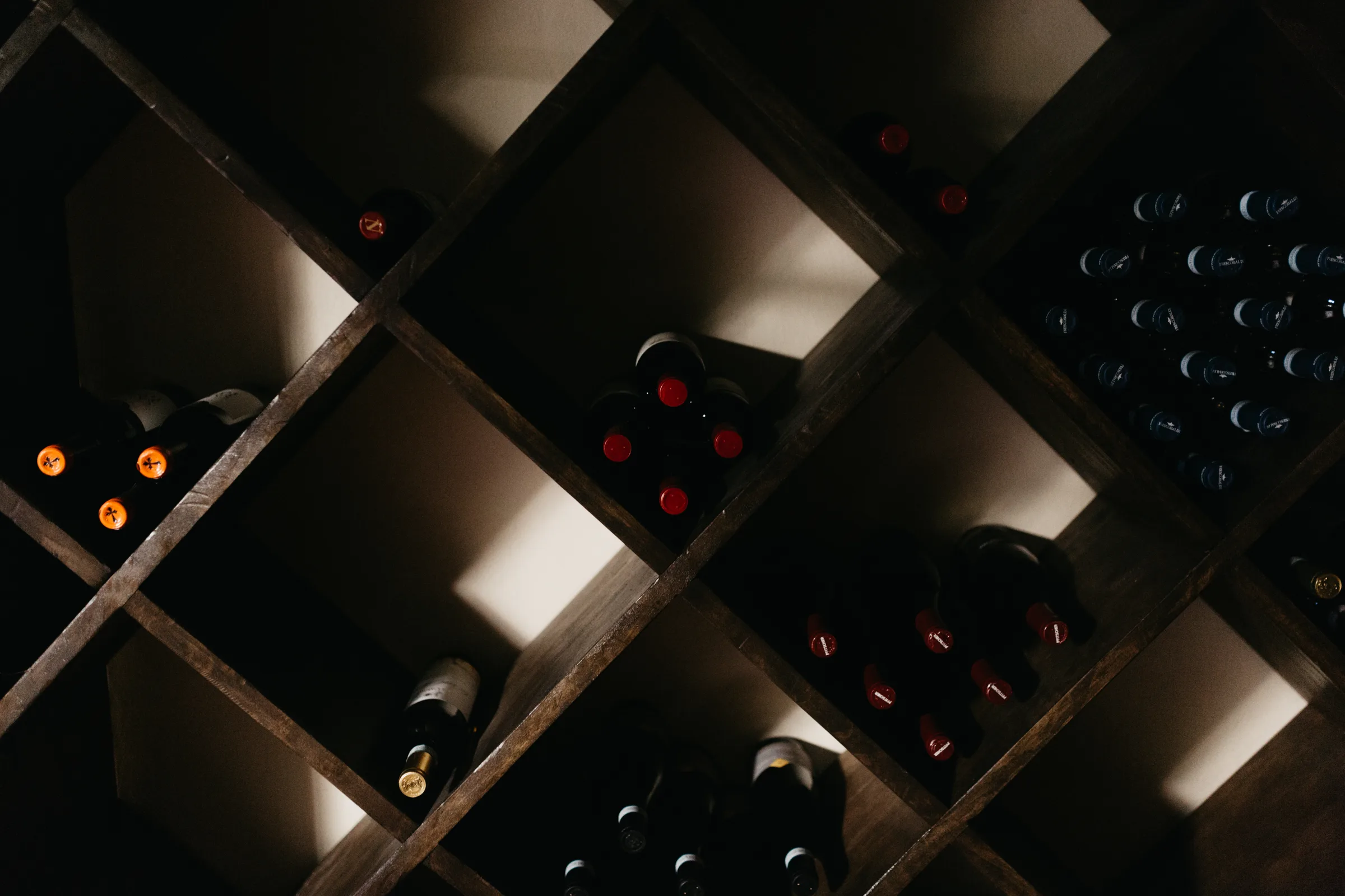 Vineyards stretching across a sun-drenched hillside