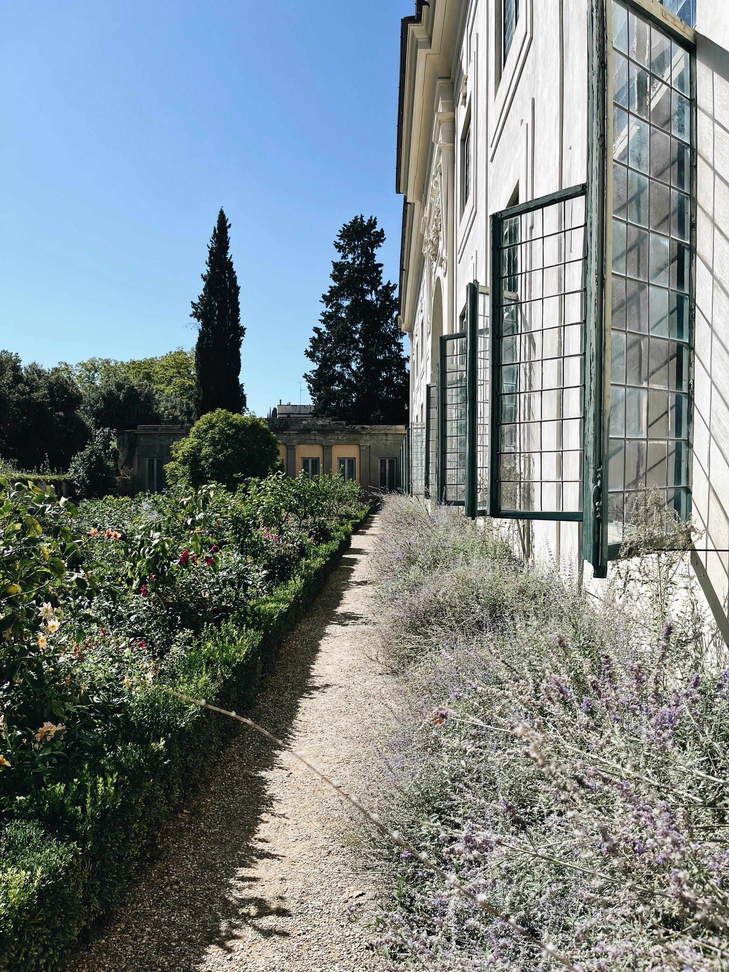 A courtyard garden with lemon trees